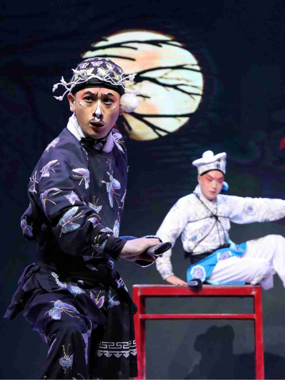 Beijing Opera role