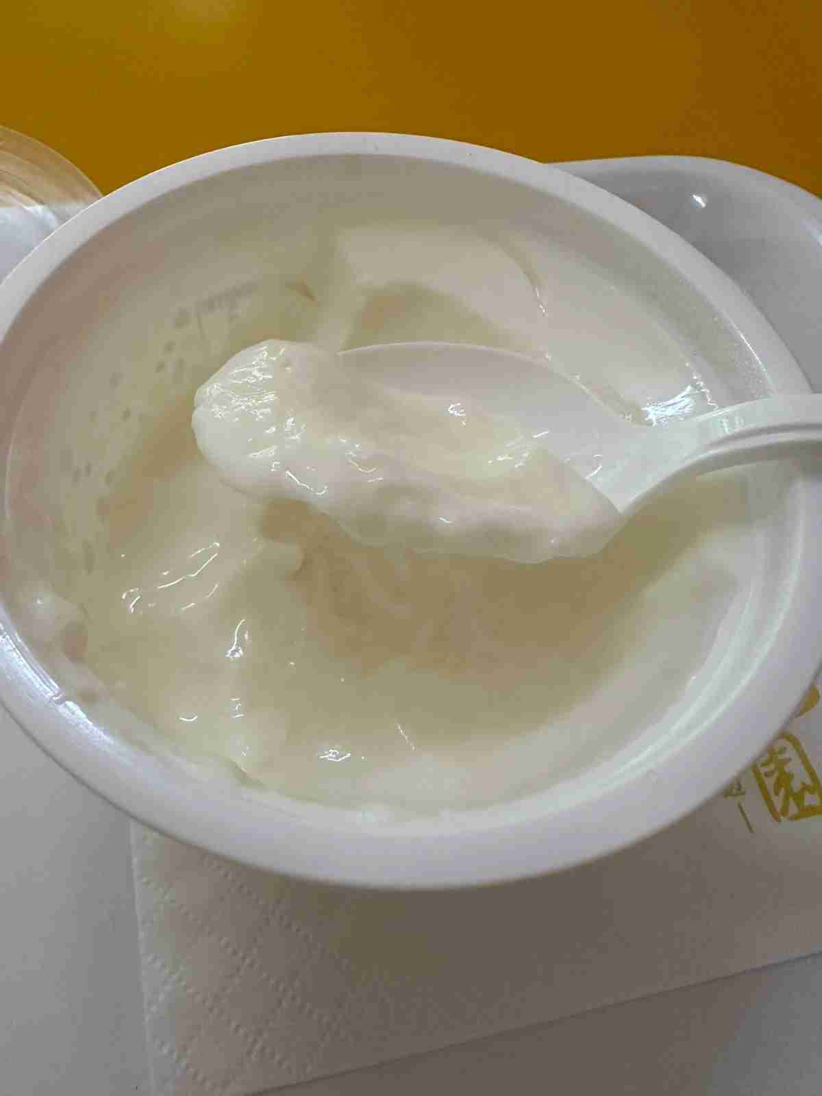 Old Beijing Milk Custard 2